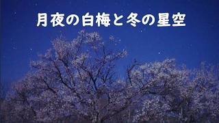 月夜の白梅と冬の星空（SONYα7SⅢリアルタイム星空動画）