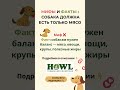 Миф или факт: собака должна есть только мясо? #уходзасобакой #кормдлясобак