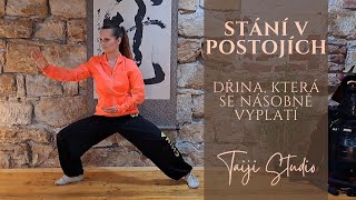 Taiji Studio | 13 forem - stání v postojích