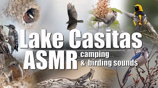 Lake Casitas ASMR Sounds of Camping  and Birding for Relaxation