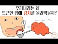 우리나라는 왜 뜨끈한 밥에 김치를 올려먹을까? (feat. 온대계절풍 기후)