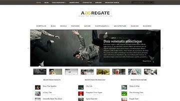 Wordpress themes with flash