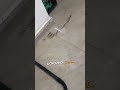 Flooded House Surprise рџђџрџЏЎрџђё Shorts Shortsvideo Wholesome Flooded House Surprise рџђџрџЏЎрџђё Shorts Shortsvideo Wholesome