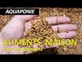 Aquaponie  produire ses propres aliments pour les poissons