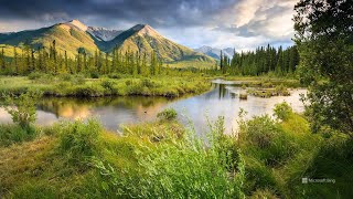 Musica de piano relajante - Acompañamiento Natural para un Sueño Plácido