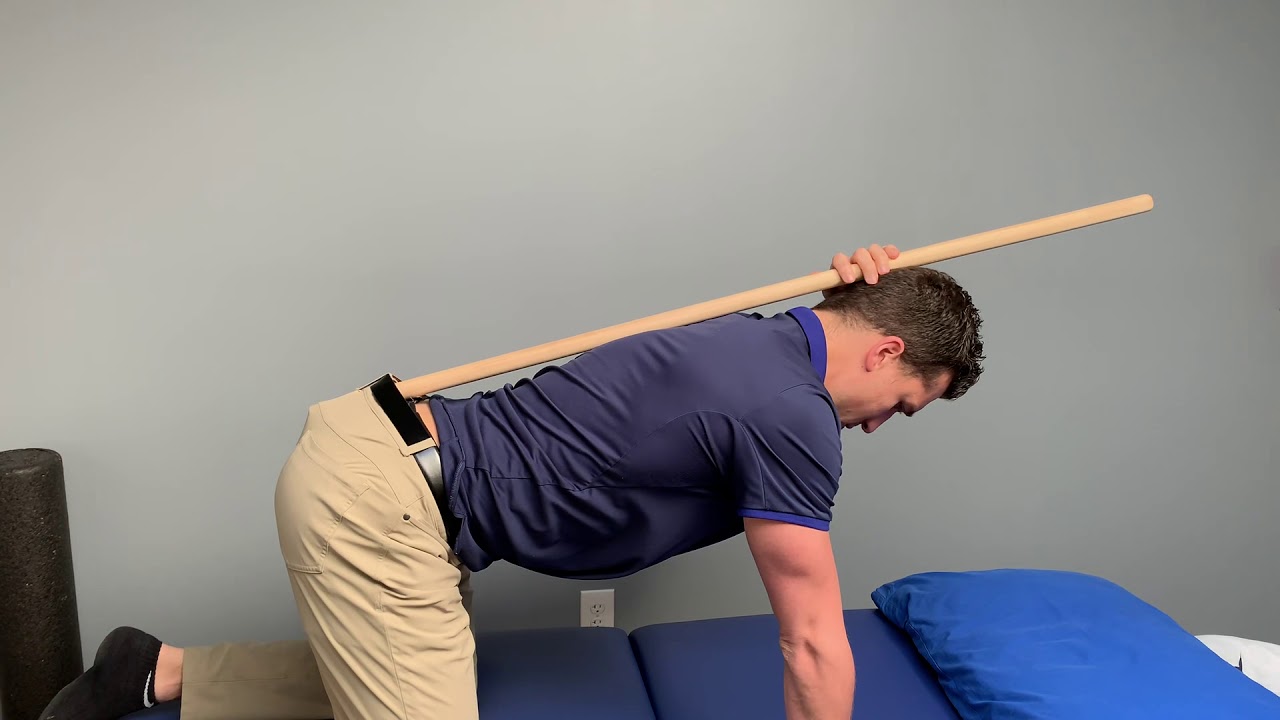 Quadruped Neutral Spine Rock Back - YouTube