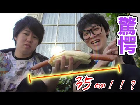 【ディズニー】35周年フード、食べ尽くす！