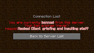 Reviewing Minecraft's WORST SERVERS!!!