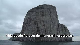 Flora and Fauna of the Insular Region of Colombia
