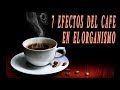 7 Efectos del café en el organismo [cafe bueno o malo para la salud]