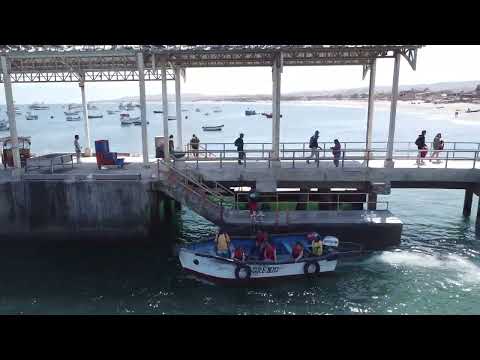 los organos harbor drone shots