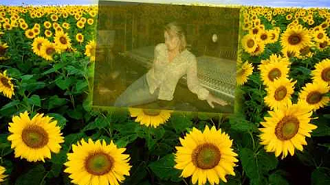 lori hall sings secret love