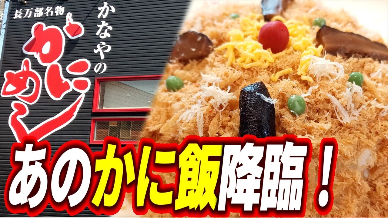 カネカツ かな や 食堂 新琴似 店
