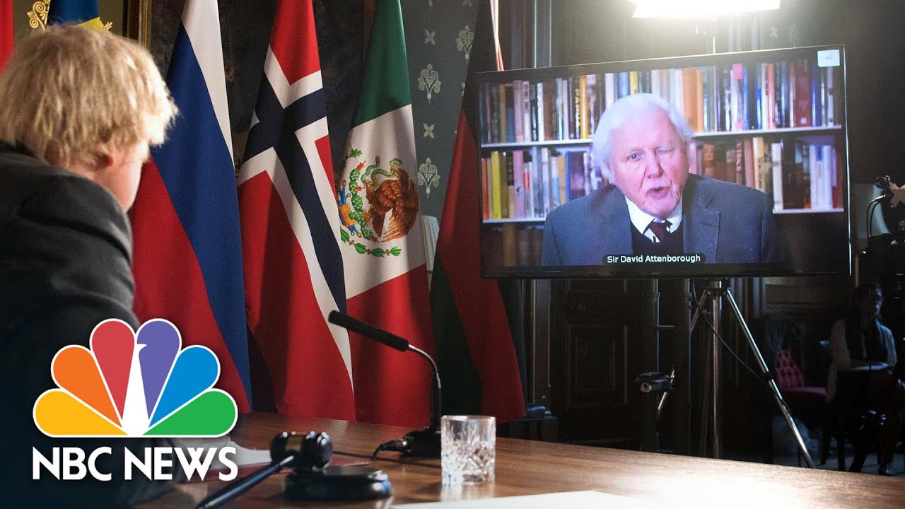 David Attenborough Urges World Leaders To Confront Climate Catastrophe | NBC News NOW