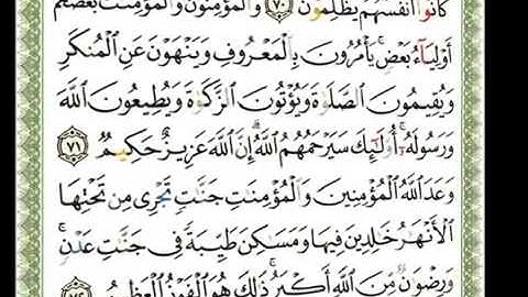 009 سورة التوبة شيرزاد عبد الرحمن طاهر