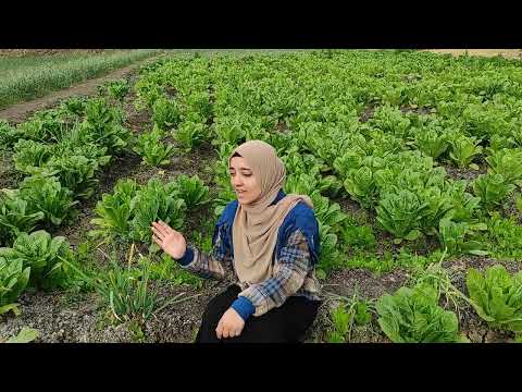 إن في الجنة نهرا من لبن