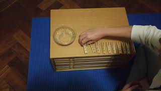 Montessori Practical Life Pegging