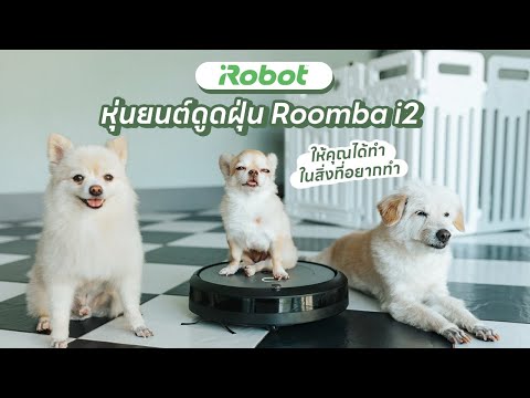 วีดีโอ: Roombas ใช้ได้กับขนสุนัขหรือไม่?