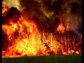 Святогорск-Яровая большой пожар охватил тереторию в несколько километров