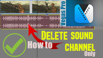 Vegas Pro 14 - How to delete Sound Channel only