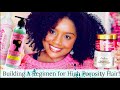 How to Build a Regimen for High Porosity Hair AFTER You've Determined Your Porosity