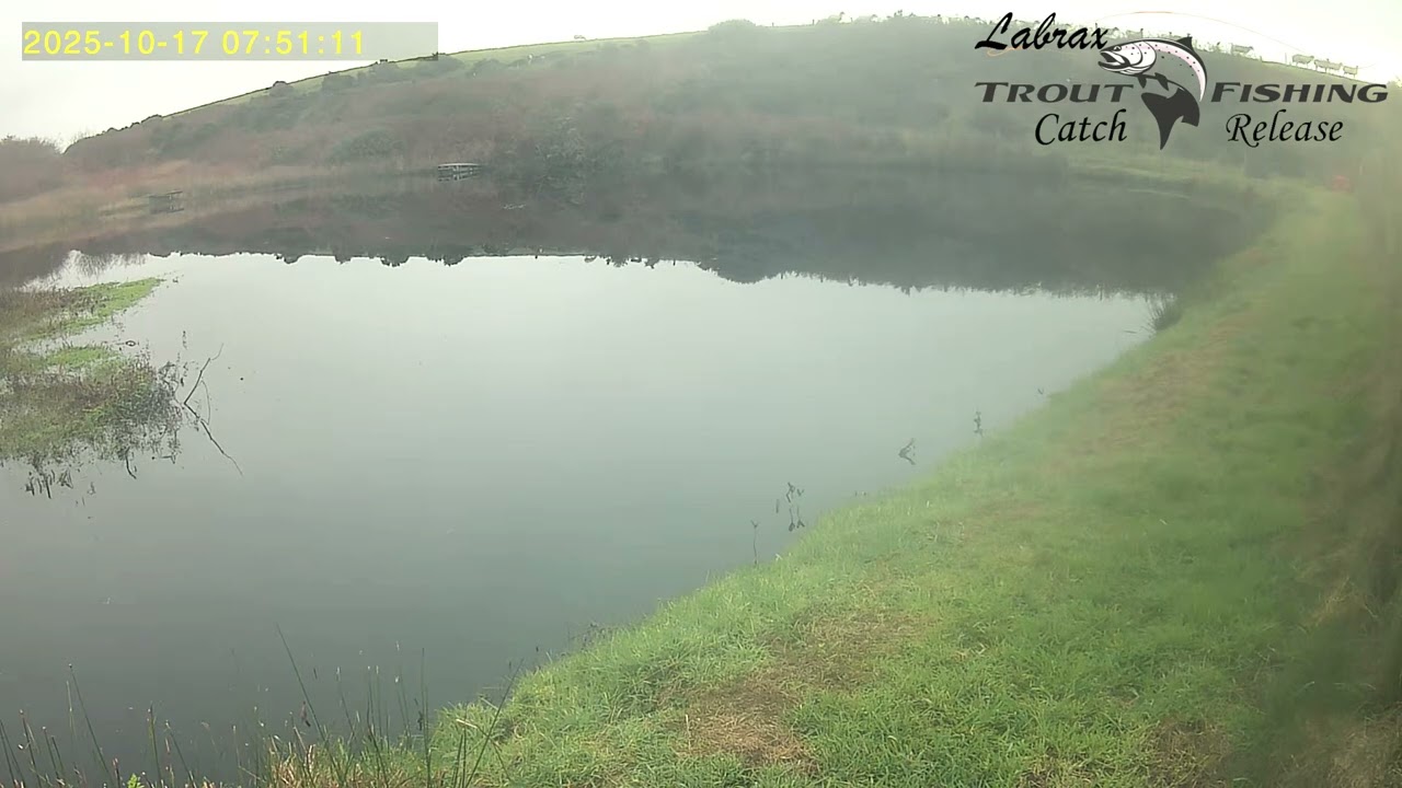 Labrax Fishing Nice Peacefull Morning 17 10 2025