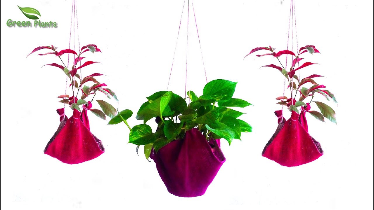 diya tailors Everybody Can Make This Planter or Plant Holder | Easy & Best Garden Idea //GREEN PLANTS