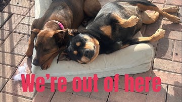 #Birthday Party / # I’m out of here