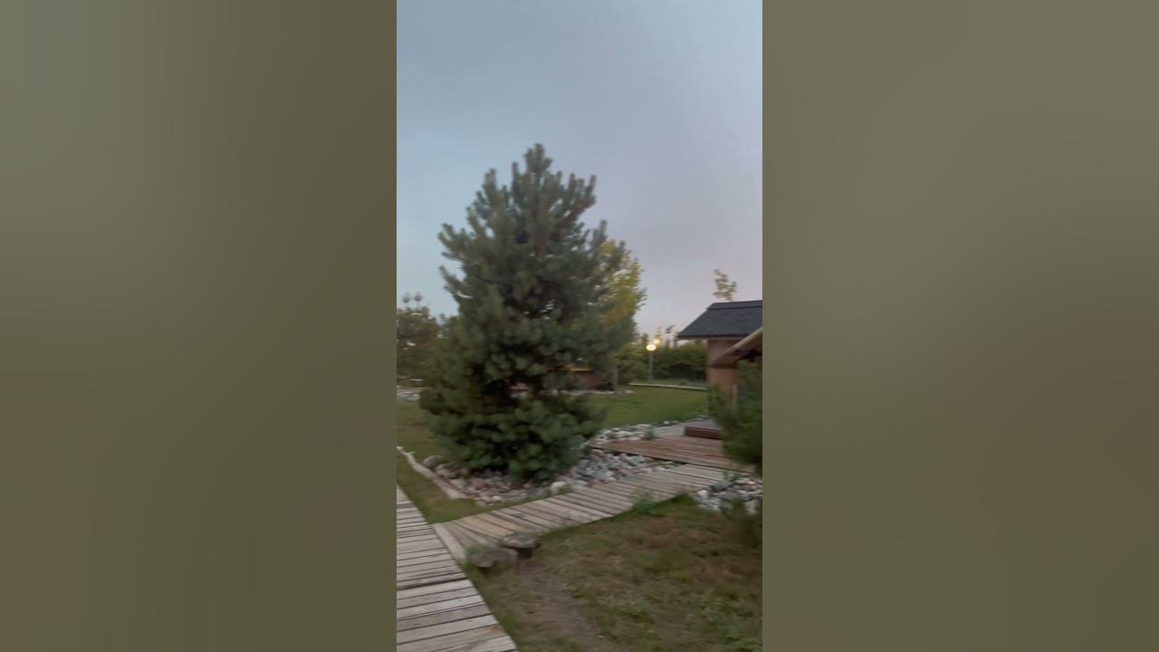 Первомайские пруды #природа #алматы - YouTube