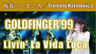P566. 『GOLD FINGER '99』” Livin' La Vida Loca” 複音ハーモニカ  by 柳川優子 Yuko Yanagawa Tremolo Harmonica 1,000