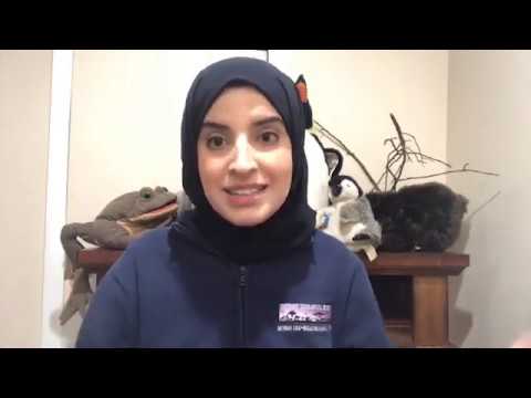 Virtual Vitamin Z | Zoo Educational Lesson: From Tadpole to Puerto Rican Crested Toad