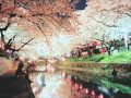 Matsutani Suguru Yuuhi No Waltz Matsutani Suguru Yuuhi No Waltz