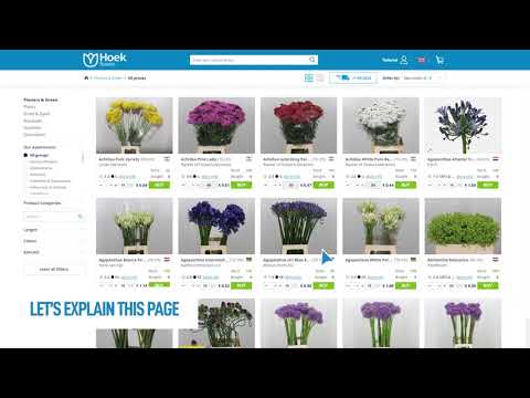 Hoek flowers Webshop Tutorial Czech