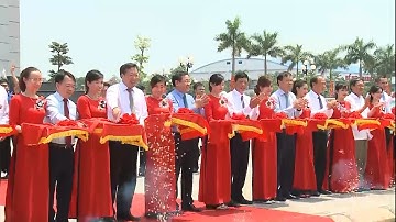 Bắc Giang đẩy mạnh xúc tiến tiêu thụ vải thiều 2018