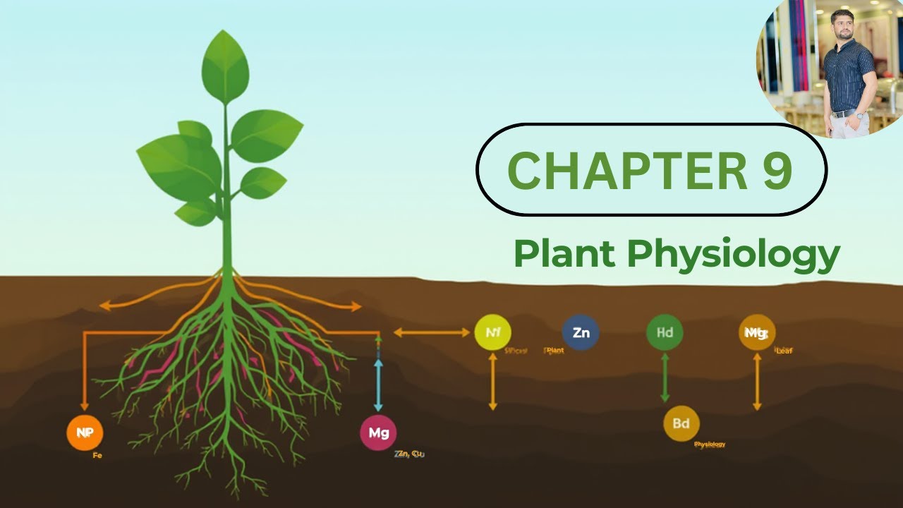 Plant Physiology | New Syllabus Biology | Class 9th | Chapter 9 | Plant ...