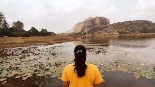 Q Mango Forest - One Day Outing