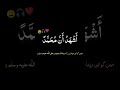 الله | Powerful Shahada | Islamic Reminder