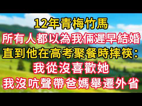 12年青梅竹馬，所有人都以為我倆遲早結婚，直到他在高考聚餐時摔筷：我從沒喜歡她！我沒吭聲帶爸媽舉遷外省！#情感故事#故事#小說#情感#婚姻#深夜淺讀 深夜淺讀#說故事