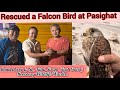 RESCUED A FALCON BIRD HANDED OVER TO SH TALUT SIRAM EAST SIANG HONORARY WILDLIFE WARDEN