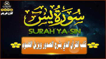✨قلب القرآن الذي يشرح الصدور ويزيل الهموم 💖📖صوته #تريند_اليوم #قرآن  #راحة_نفسية #قارئ
