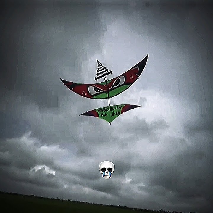 Diều sáo 4m8 thả bão kéo văng người vào bờ rào☠️💀💀 #dieusao #thadieusao