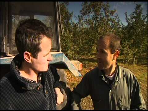 Sheppy's Cider