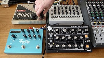 MFB Tanzmaus, Moog Minitaur & EHX Deluxe Memory Man