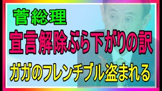 菅総理、緊急事態宣言解除をぶら下がりで、レディーガガのフレンチブル盗まれ、50万ドルの県境金。