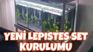 Lepistes Akvaryum Seti Kurdum - Vatozlar Çalışmaya Başladı :) #lepistes #akvaryum