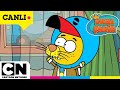🔴 CANLI 🔴 KRAL ŞAKİR | KESİNTİSİZ EĞLENCE  | @cartoonnetworkturkiye