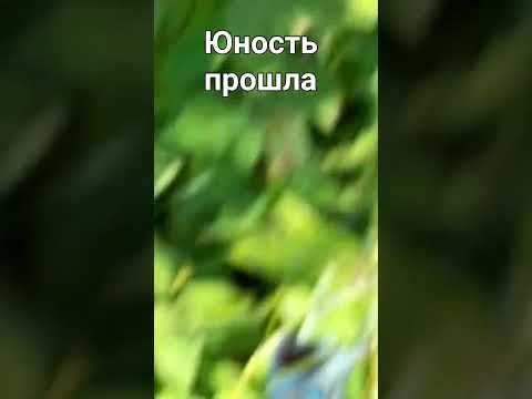 #music #nature #shorts #русская музыка