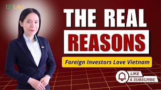 The Real Reasons Foreign Investors Love Vietnam | LTS LAW FIRM