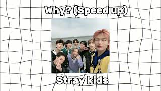 🧡Stray kids- why? (Speed up ver.)🖤| 2024 new