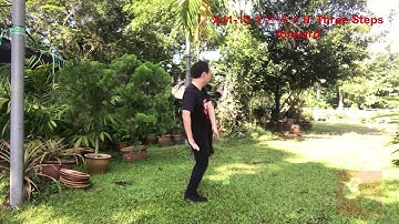 Chen Style Tai Chi New Frame First Routine 陈氏太极拳新架一路 -13 前蹚拗步 II  Three Steps forward